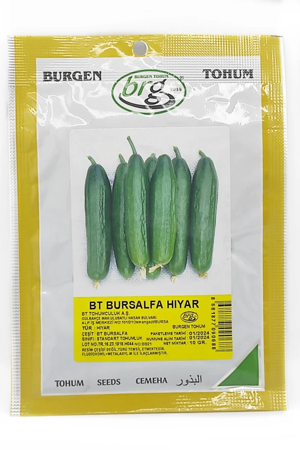 BT Bursalpha Salatalık Tohumu  10 gr