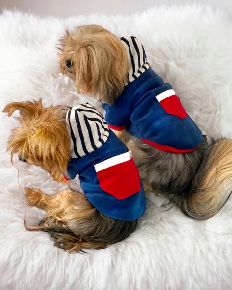 Neo Tommie Kapşonlu Köpek Sweatshirt Köpek Kıyafeti Köpek Elbisesi - 5