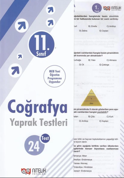 Nitelik 11. Sınıf Coğrafya Yaprak Test