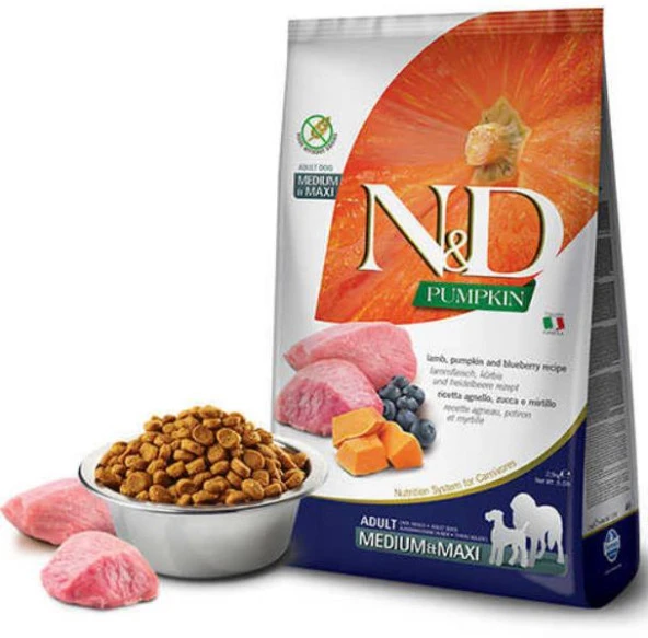N&D Pumpkin Kuzu&Yaban Mersini Orta Büyük Irk Köpek Maması 2,5 Kg ürün görseli