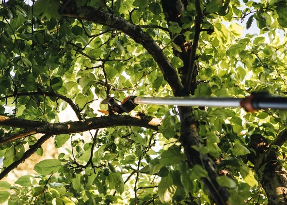 Fiskars 115012 UPX86 Yüksek Dal Budama Makinesi - 8