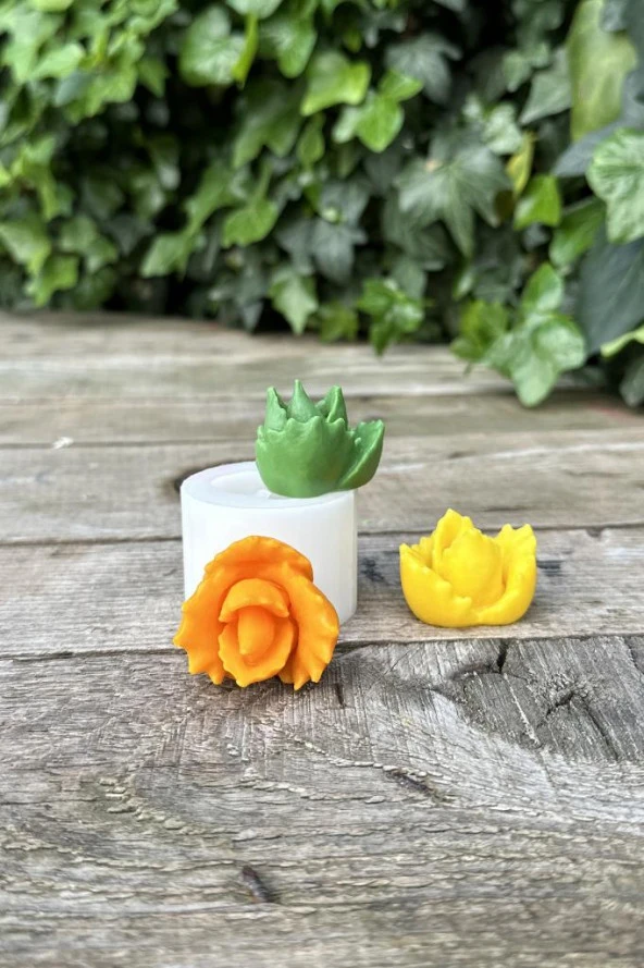 Juvenna Sukulent Mum Kalıbı (Silikon) (1 Adet) - Resim 4