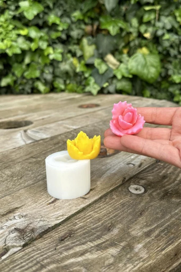 Juvenna Sukulent Mum Kalıbı (Silikon) (1 Adet) - Resim 6