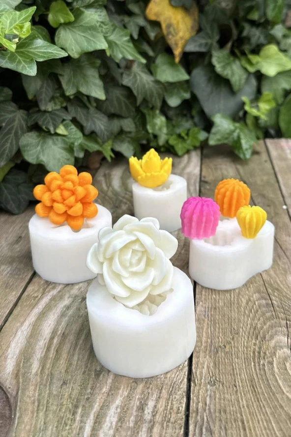 Kaktüs Set-2 Mum Kalıpları ( 4 Adet Kalıp ) ( Silikon ) 1 Adet - Resim 2