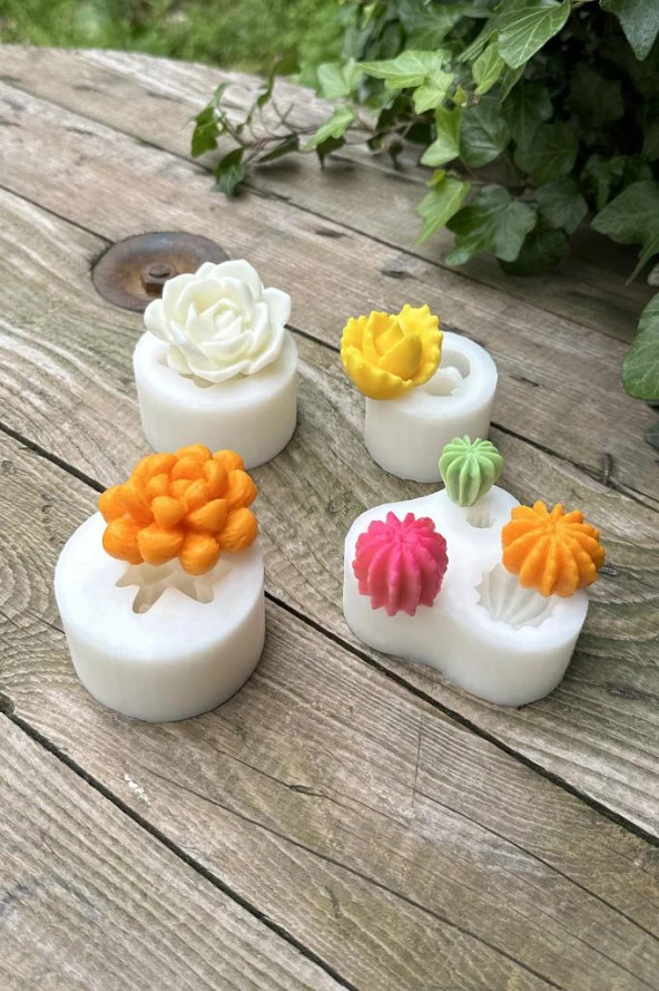 Kaktüs Set-2 Mum Kalıpları ( 4 Adet Kalıp ) ( Silikon ) 1 Adet - Resim 3