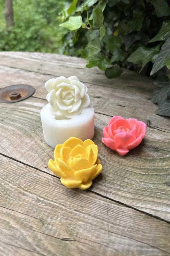 Laui Sukulent Mum Kalıbı (Silikon) (1 Adet) ürün görseli