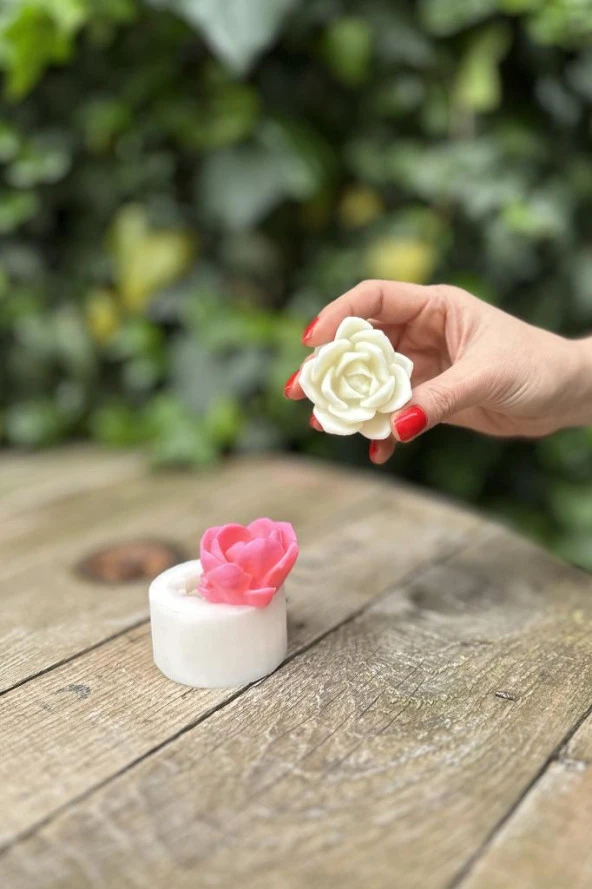 Laui Sukulent Mum Kalıbı (Silikon) (1 Adet) - Resim 3