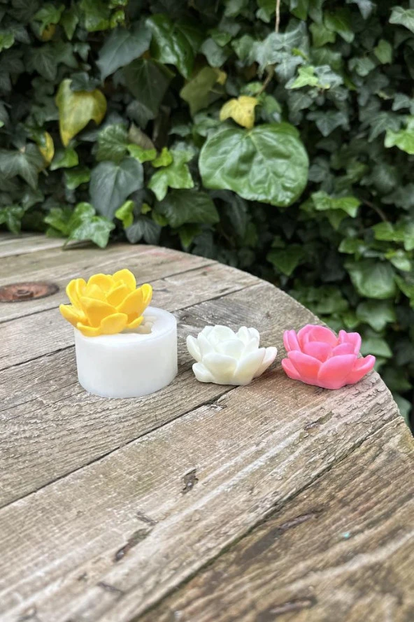 Laui Sukulent Mum Kalıbı (Silikon) (1 Adet) - Resim 4