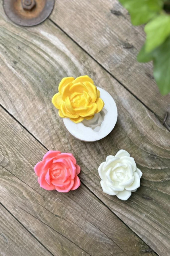 Laui Sukulent Mum Kalıbı (Silikon) (1 Adet) - Resim 5