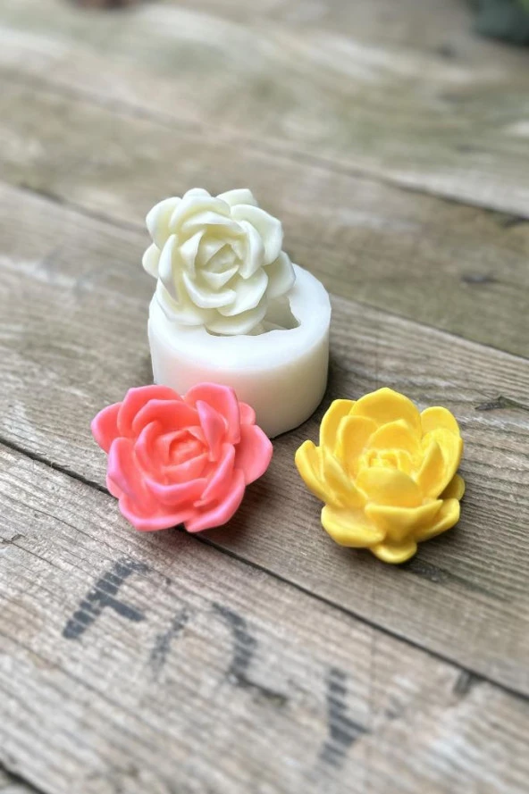 Laui Sukulent Mum Kalıbı (Silikon) (1 Adet) - Resim 6