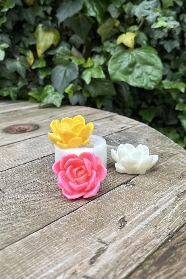 Laui Sukulent Mum Kalıbı (Silikon) (1 Adet) - Resim 7