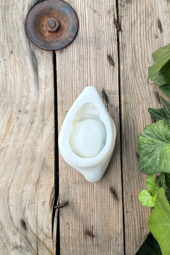 Venüs Deniz Kabuğu Şekilli Kap Kalıbı (60mmx100mmx40mm) (Silikon) ( 1 Adet ) - Resim 7
