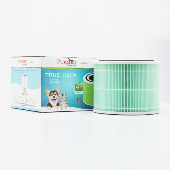 Purmed Levoit Core 300 Hepa Hava Filtresi - Yeşil (Toxin-Smoke) Purmed Filters