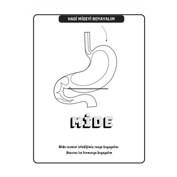 Çocuklar İçin ANATOMİ Boyama Kitap Seti (2 Süper Kitap) - 2