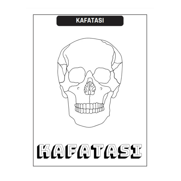Çocuklar İçin ANATOMİ Boyama Kitap Seti (2 Süper Kitap) - 4