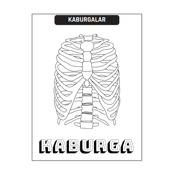 Çocuklar İçin ANATOMİ Boyama Kitap Seti (2 Süper Kitap) - 5