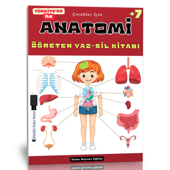 Çocuklar İçin ANATOMİ Öğreten YAZ-SİL Kitabı - 1
