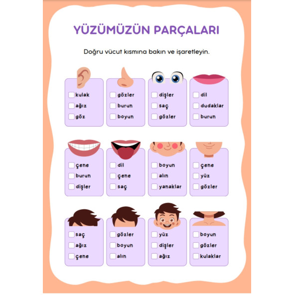 Çocuklar İçin ANATOMİ Öğreten YAZ-SİL Kitabı - 6