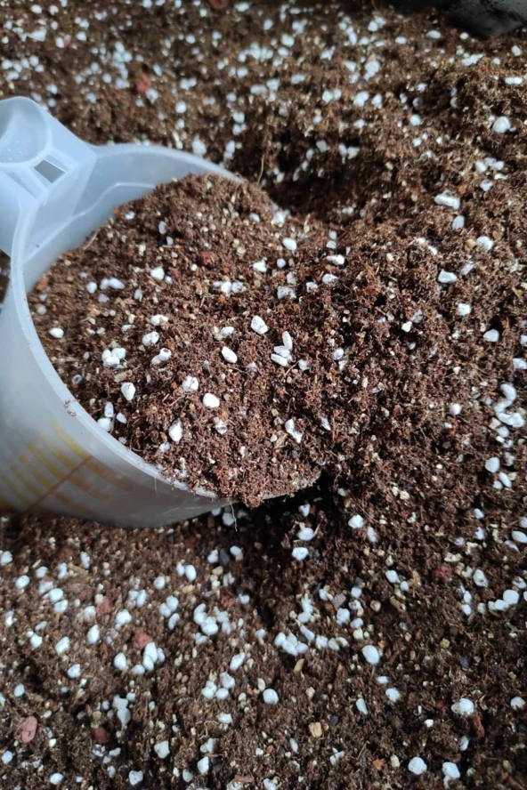 1 Litre Toprak Kaktüs Sukulent Toprağı Kendi Üretimimizde Kullandığımız Toprak