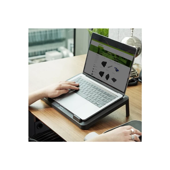 Mas Escrito Lima Diz Üstü Sabit Bilgisayar Yükseltici ESEL220 - 3