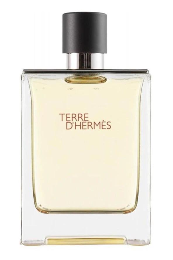 Hermes Terre D' EDT 100 ml Erkek Parfümü ürün görseli 1
