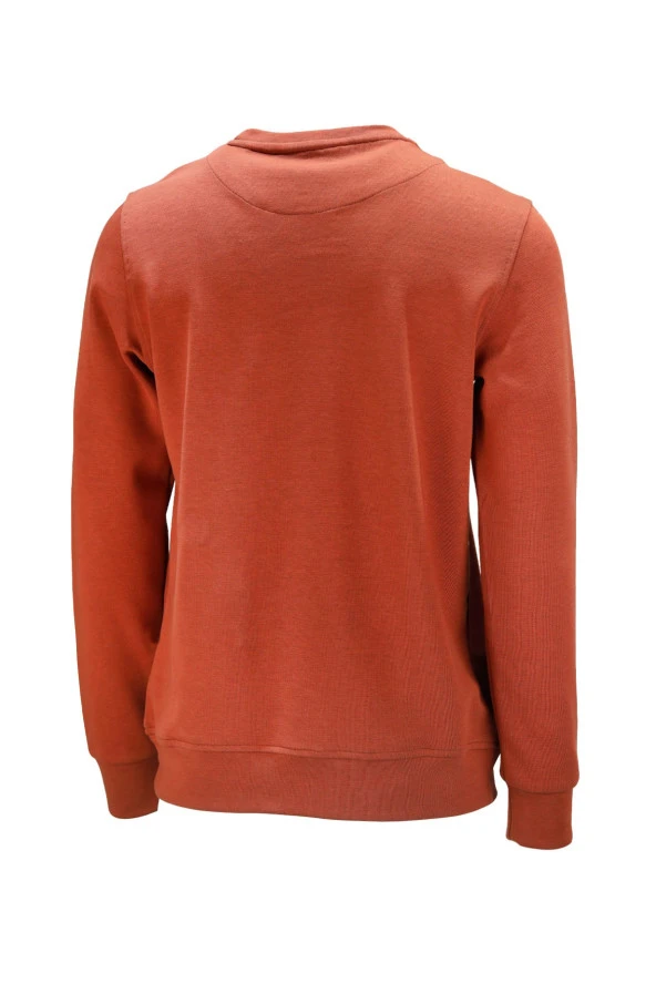 Erkek Standart Fit Bisiklet Yaka Baskılı Pamuklu Kiremit Sweatshirt - 2