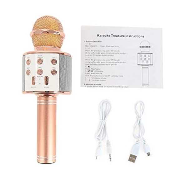 Orijinal Karaoke bluetooth mikrofon WSTER WS-858 Usb Ses Değiştir - 9
