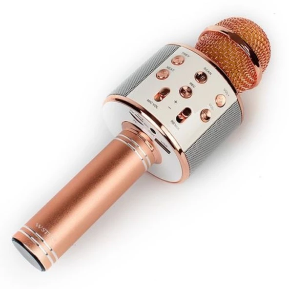 Orijinal Karaoke bluetooth mikrofon WSTER WS-858 Usb Ses Değiştir - 11