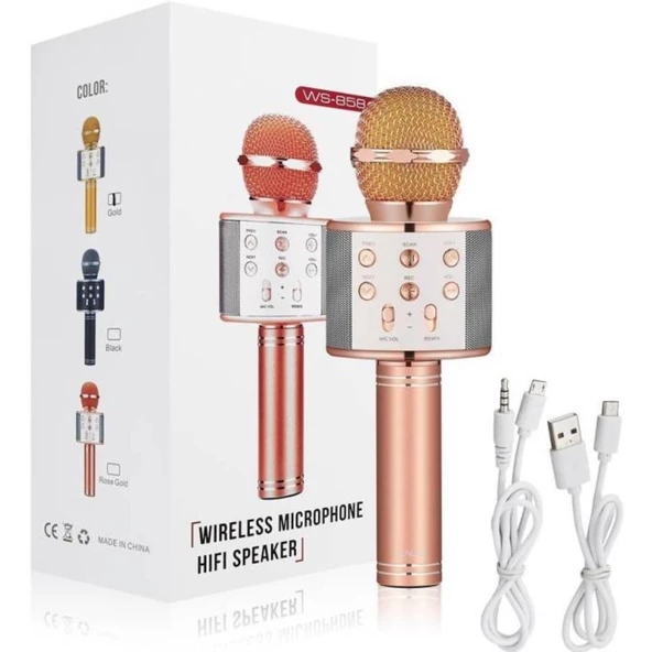 Orijinal Karaoke bluetooth mikrofon WSTER WS-858 Usb Ses Değiştir - 4