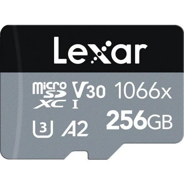 Lexar 256GB Professional 1066X UHSI Micro SD Hafıza Kartı