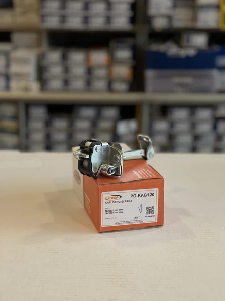 Peugeot 3008-5008 (2009 - 2016)  kapı gergisi arka ithal KAG120 (9181.Q1) ürün görseli