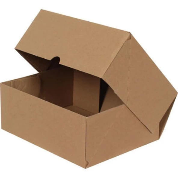 25x20x10cm E-Ticaret Kargo Kutusu - 4 Nokta - Testliner