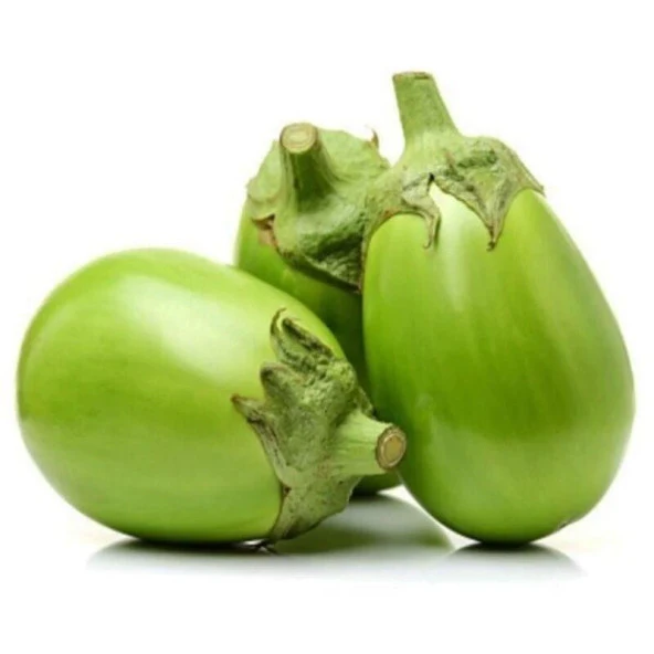 Apple Green Patlıcan Tohumu (15 tohum) - 1