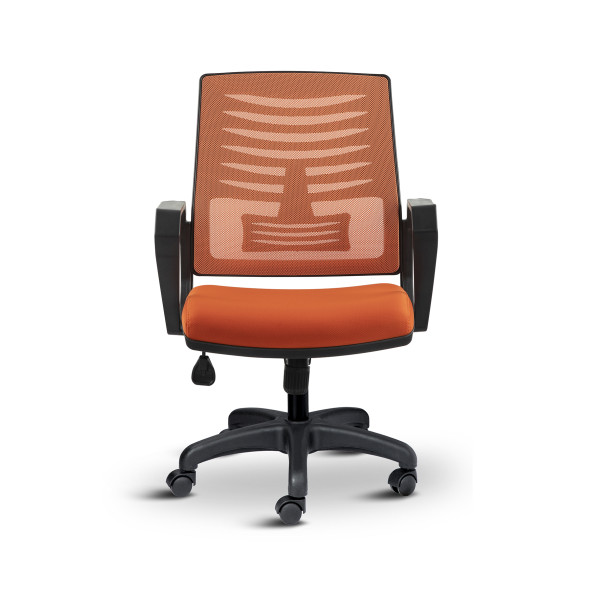 Asbir Mobilya Metis Çalışma Koltuğu Ofis Sandalyesi Bilgisayar Koltuğu - 2