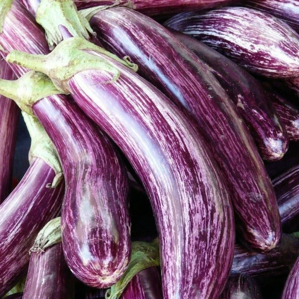 Manisa Çizgili Patlıcan Tohumu (20 tohum) ürün görseli