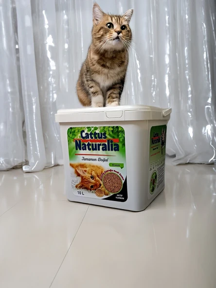Cattus Naturalia Klasik Aktif Karbonlu Ceviz Kabuğundan Yapılmış Doğal Kedi Kumu 2 'li - 3