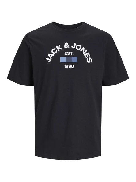 JACK JONES Erkek Şort-Tişört Takım 12258222 - Resim 2