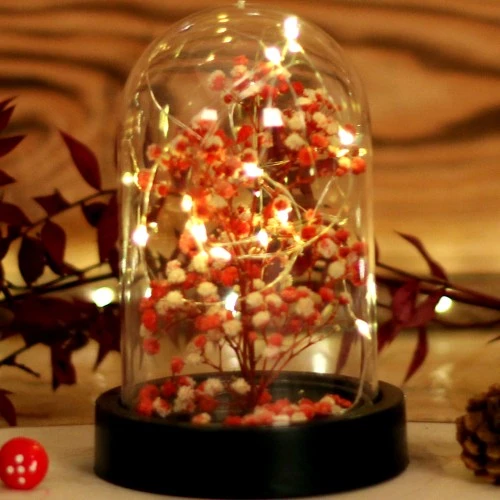 Periboia Led Işıklı Mini Ağaç Fanus Teraryum - 3