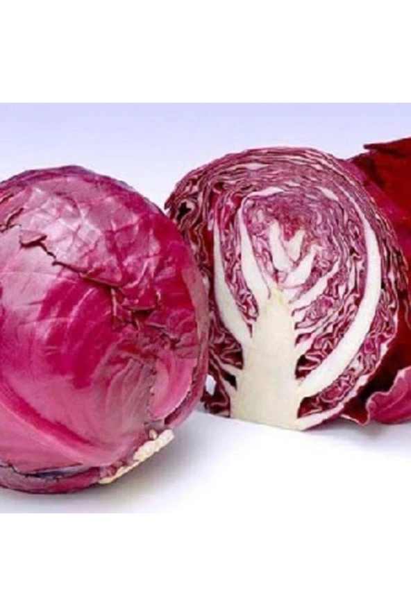 Kırmızı Lahana Tohumu ürün görseli