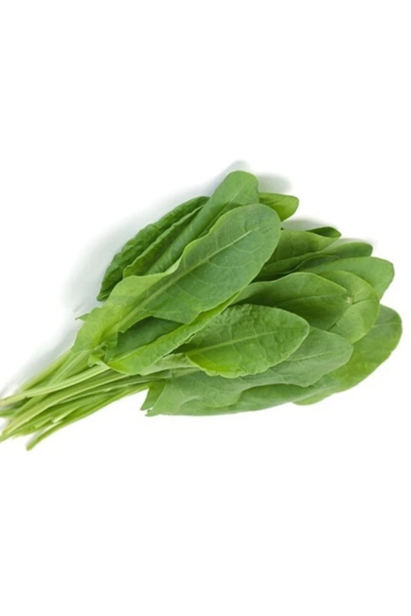 Kuzukulağı Tohumu
