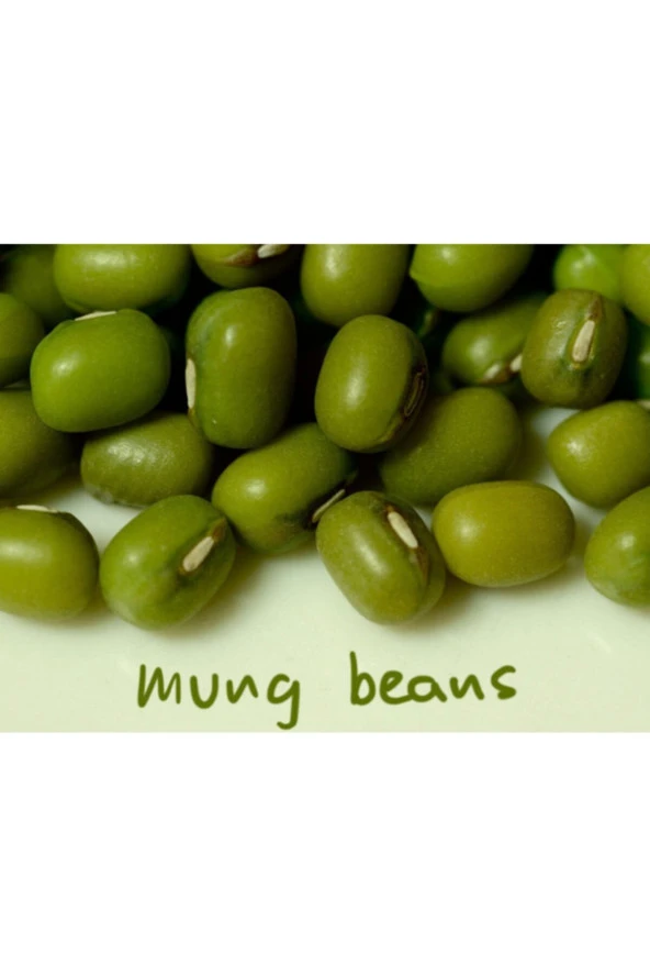 Maş Fasulye Tohumu - Resim 2