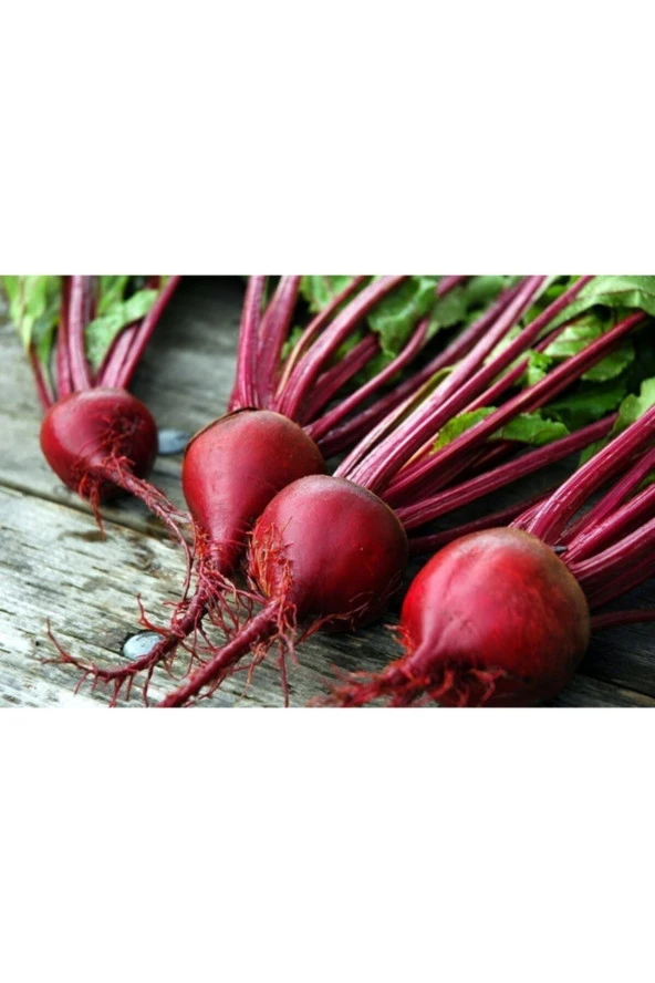 Kırmızı Pancar Tohumu - Resim 2