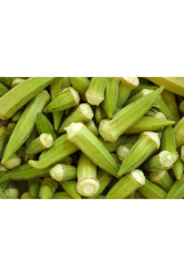 Bamya Tohumu - Resim 3