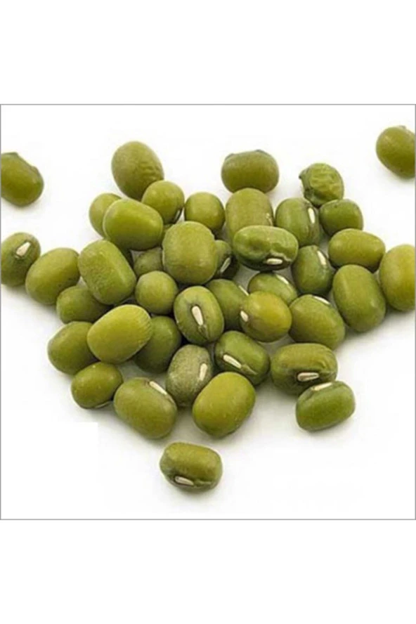 Maş Fasulye Tohumu - Resim 3