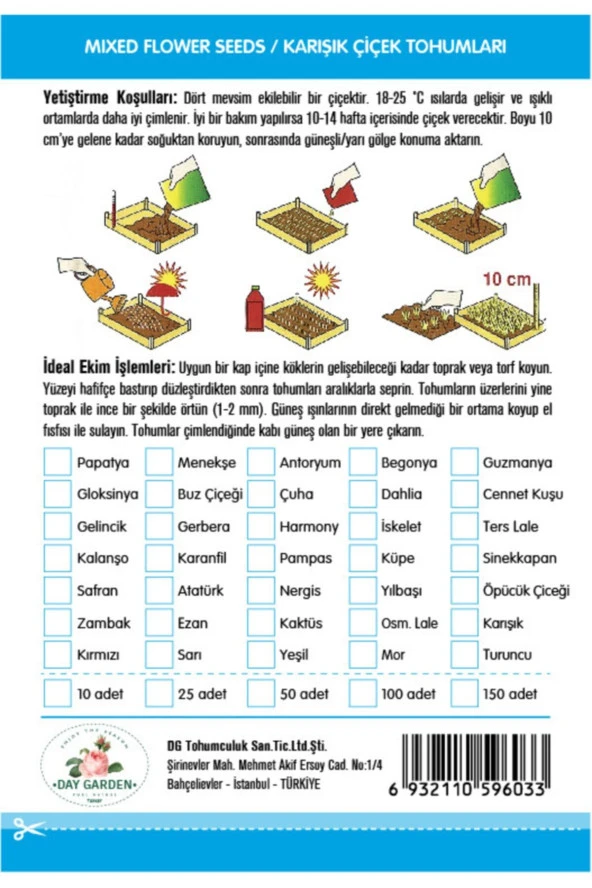 10 Adet A Pembe Renk Dahlia (yıldız Çiçeği) Tohumu + 10 Adet Hediye Karışık Renk Gül Tohumu - Resim 3