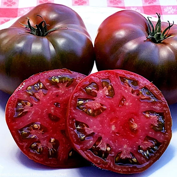 Siyah Patlıcan 25 Adet Tohum + Siyah Domates 25 Adet Tohum + Torf + Saksı - Set ürün görseli