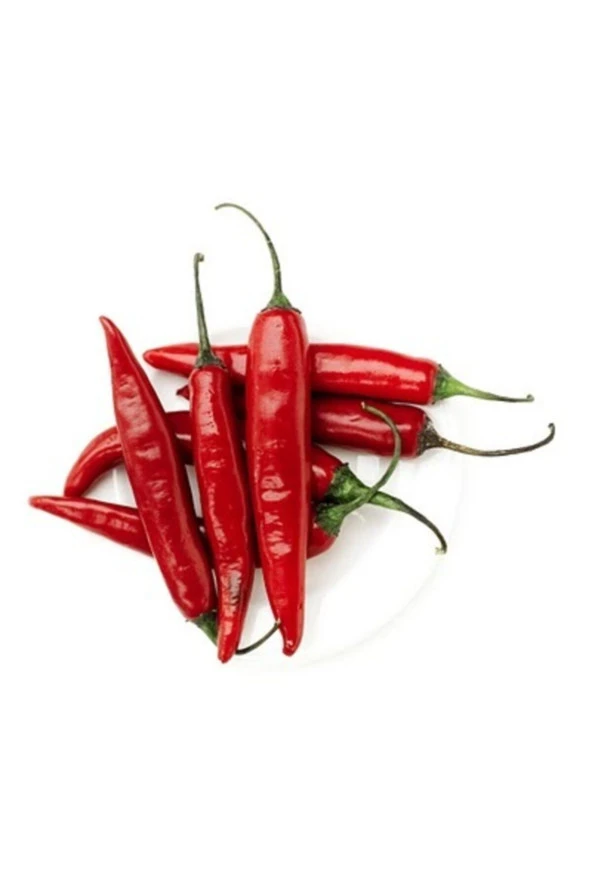 Chili Biberi Tohumu - Resim 3