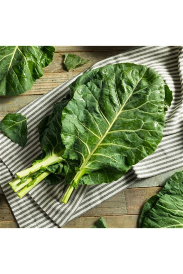 100 Adet Lahana Karadeniz Sebze Tohumu ürün görseli 1