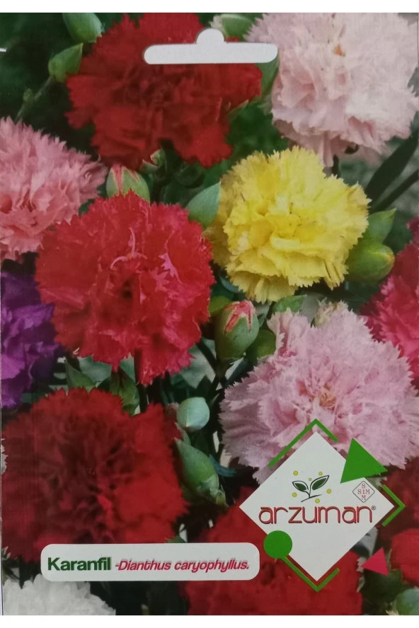 Karanfil Çiçeği Tohumu ürün görseli