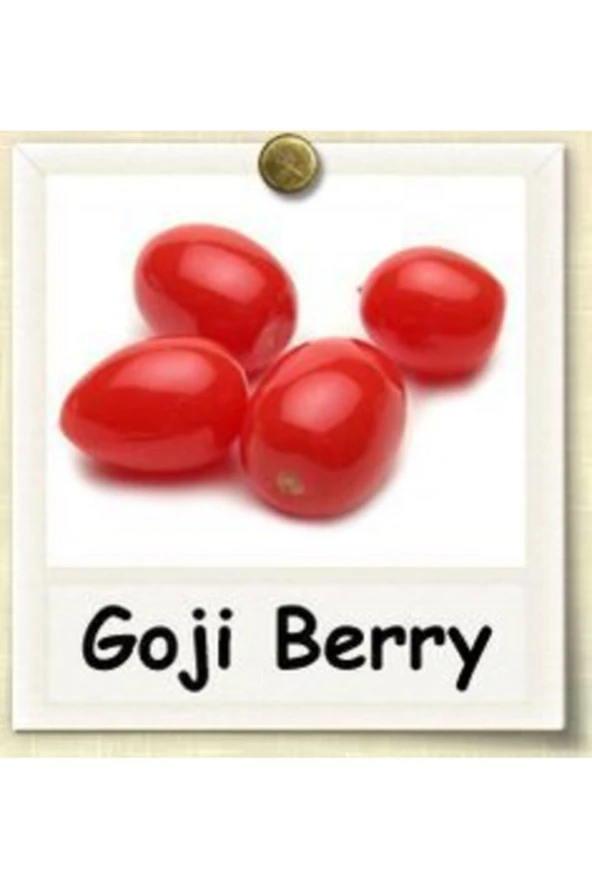 Himalaya Goji Berry Tohumu Kurt Üzümü (5 Adet Tohum)